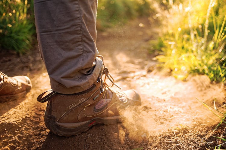 Trail Work
