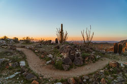 Desert Sunset Trail