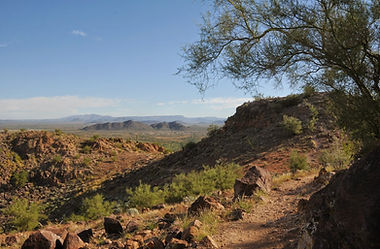 Peoria landscape trail.JPG