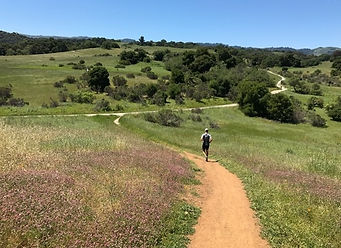 Arastradero Preserve running.jpg