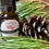 Miniature : HUILES ESSENTIELLES
