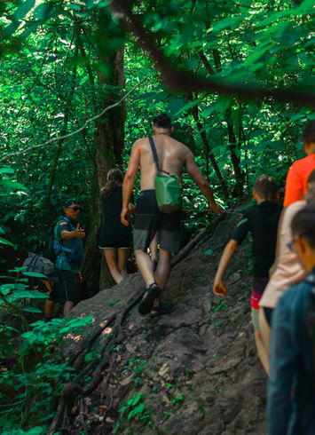 Lush rainforest surrounding La Leona Waterfall.