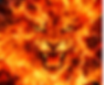 Featured Poem: Fire
