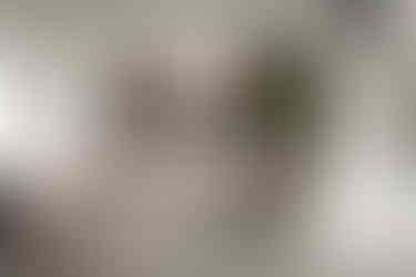 Interieur Loftwoning