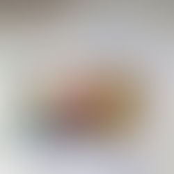 ALEGIS取得台灣商標 與USPTO 美國商標註冊證書