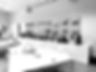 DSRLab
