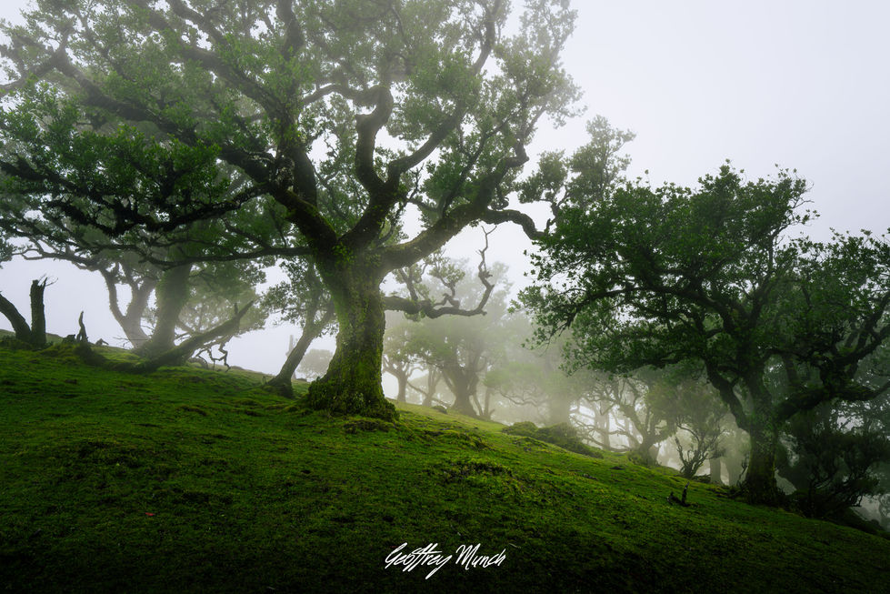 GM-Photography-05439