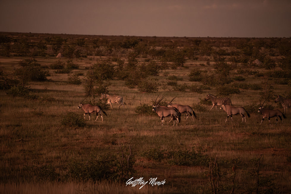 GM-Photography-9850