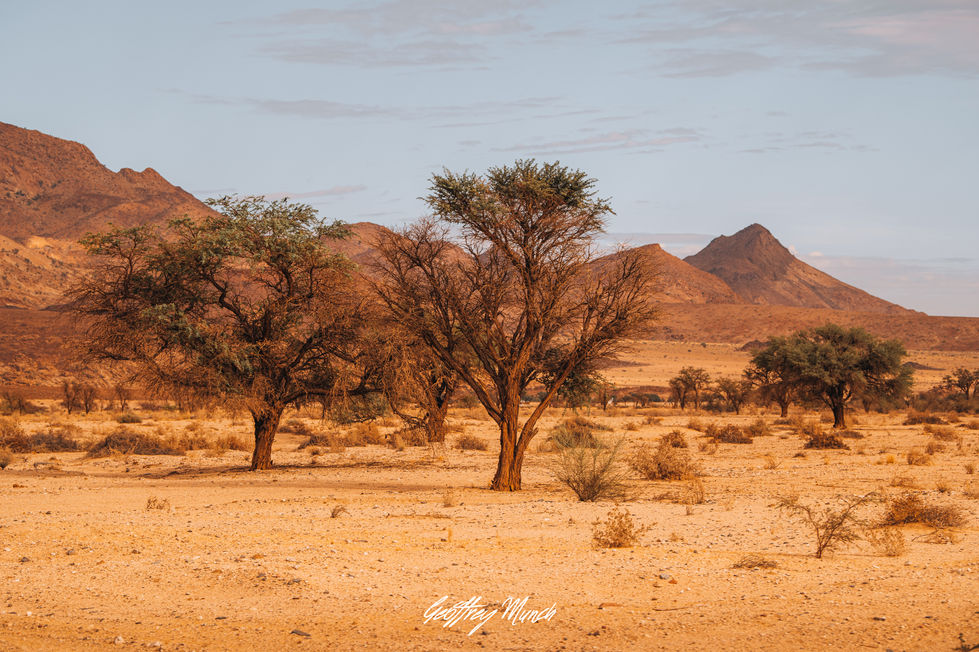 GM-Photography-9329