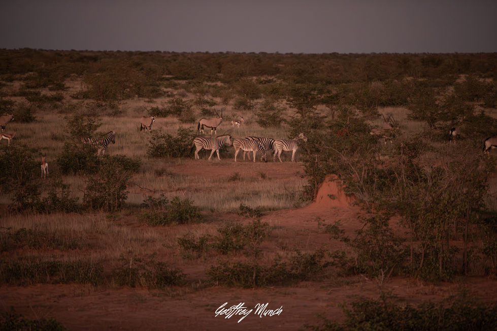 GM-Photography-9830
