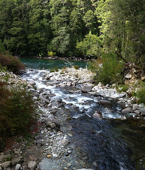 Estero SN Confluencia Manso_edited.jpg