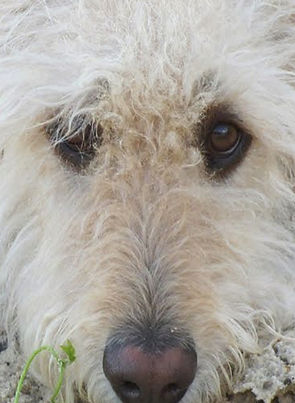 titus picture.jpg