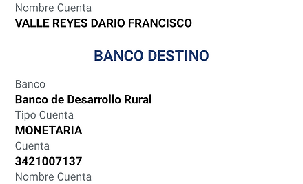 Ejemplo Boleta.jpg