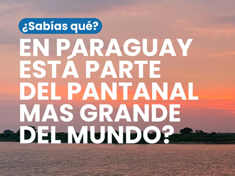 HACIA EL PANTANAL DEL PARAGUAY