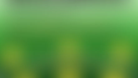 Fußball – Hobbykicker und -kickerinnen gesucht beim TSV Nieder-Ramstadt e.V.