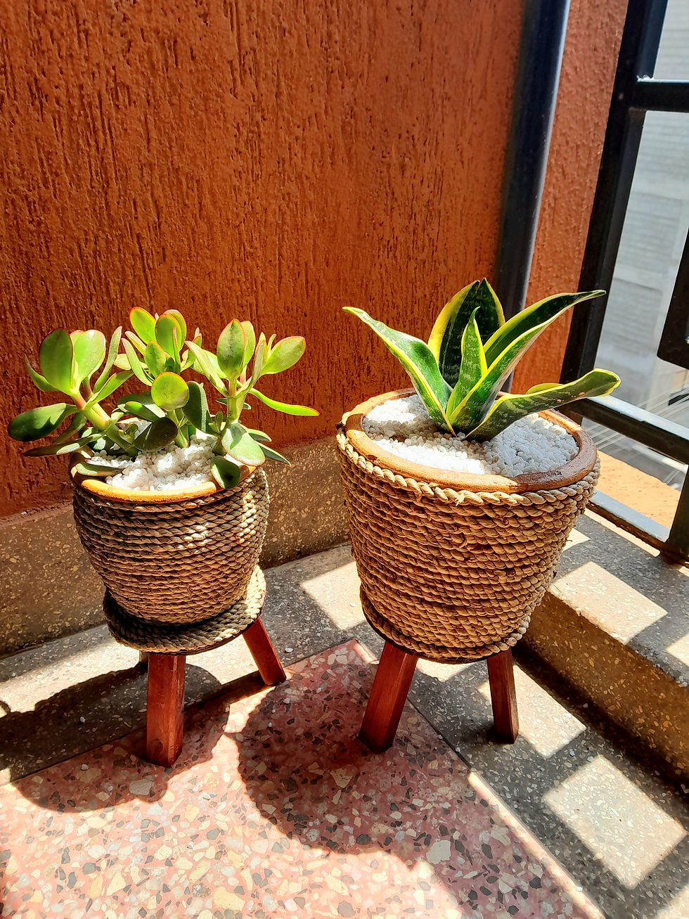 Thumbnail: Flower pots