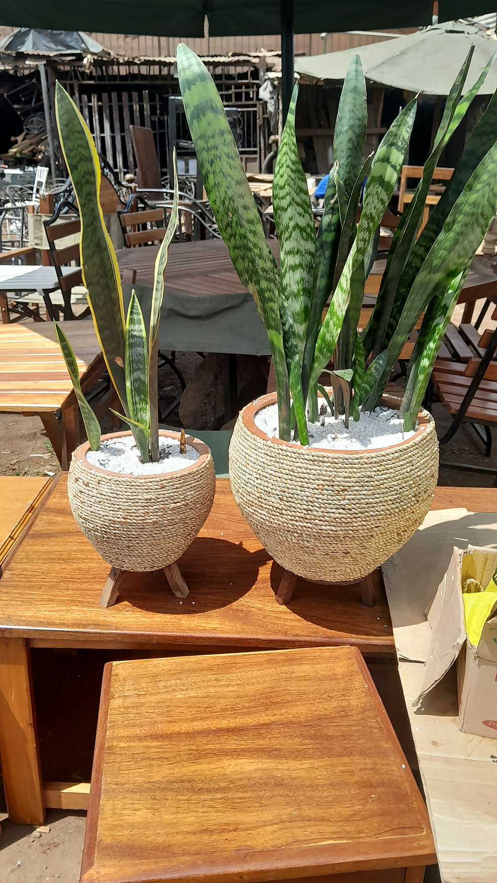 Thumbnail: Flower pots
