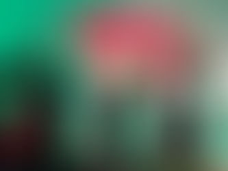 „Wir geben die Manege frei, für die Rämschter Narretei“