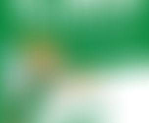 Putzfee / Putzelf gesucht!