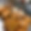 Thumbnail: SD Jalapeno Cheddar Cheese Bread