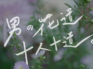 正則学園高等学校で30年ぶりの快挙を達成!!
