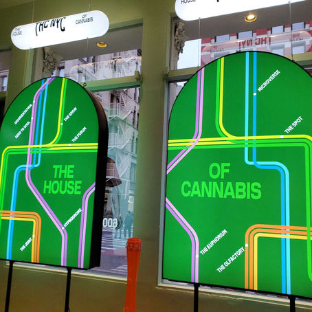 The House of Cannabis Museum: An Immersive Journey Through Cannabis Culture