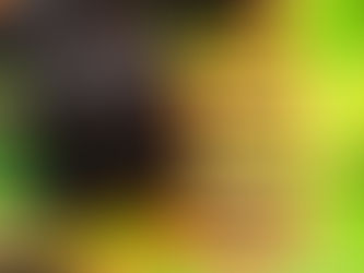 When December Feels Like Whack-A-Mole