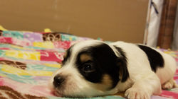 pics 8-16 577