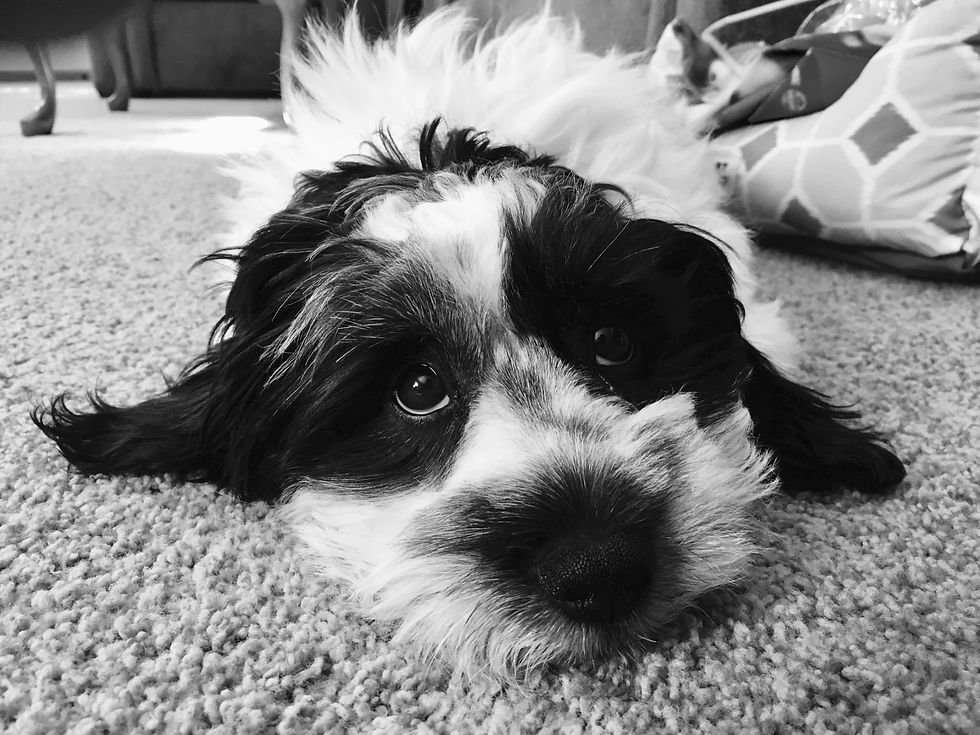 Bently