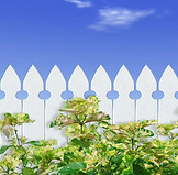 White Picket Fence