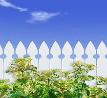 White Picket Fence 