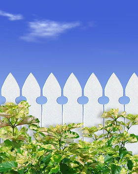 White Picket Fence