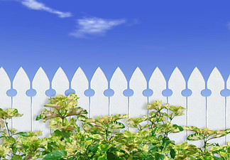 White Picket Fence 