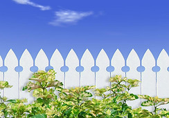 White Picket Fence