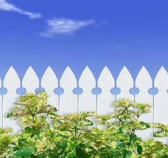White Picket Fence