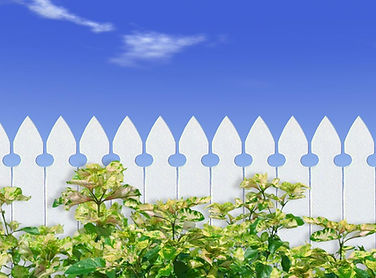 home owners association listing for florida