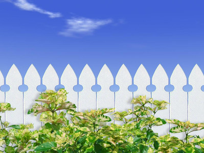 Don’t Bet the House: An Elder Law Attorney’s Property Protection Hints