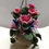 Thumbnail: A hanging pot of rose flowers