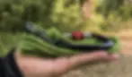 gun3.webp