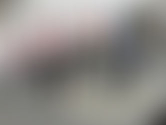 G7 Foreign and Development Ministers