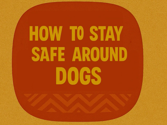 Through the Eyes of Nandy: Helping Children Stay Safe from Dog Bites