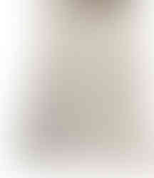 lamina de pvc blanco estamp 2