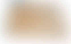 lamina de pvc cedro 1