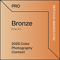 Bronze-Color_Background.png