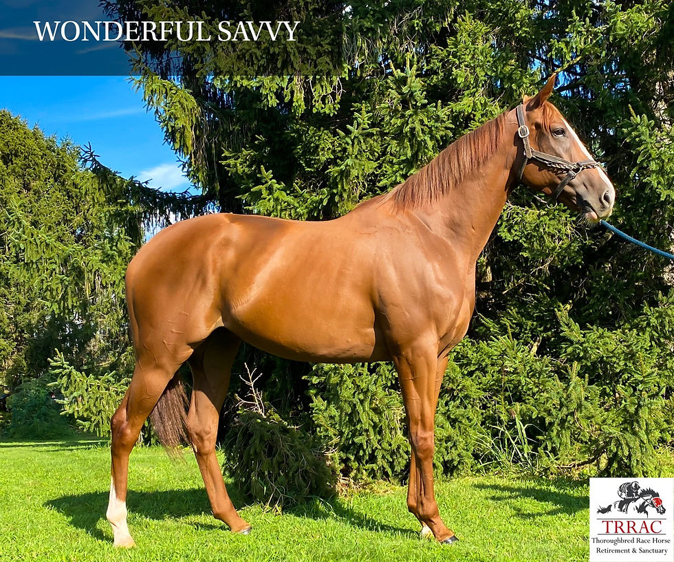 Thumbnail: Wonderful Savvy