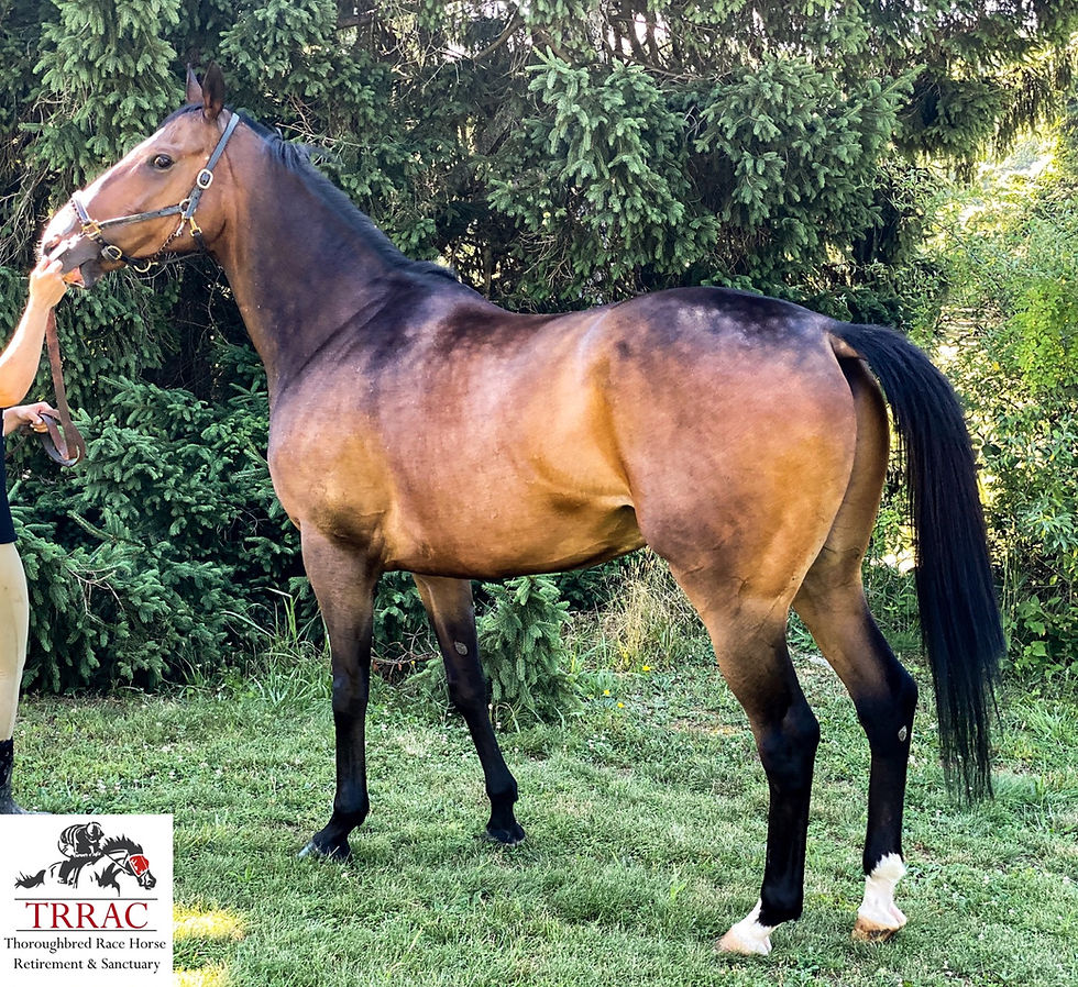 Thumbnail: Last Plunge