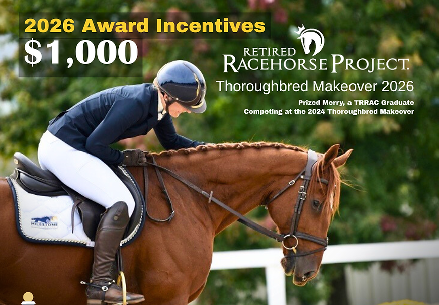 Heading to the 2026 RRP Thoroughbred Makeover.png