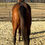 Thumbnail: Lady's Cross First