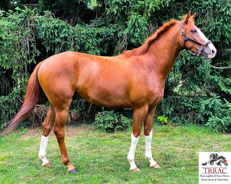 Thumbnail: Deputy Rocket