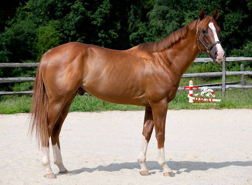 Thumbnail: Pesky Valeski